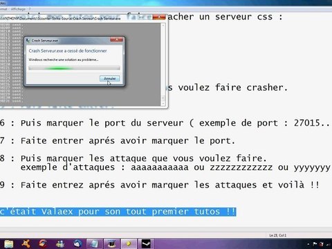 Crash Serveur css
