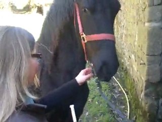 alane vermifuge et curage des pieds