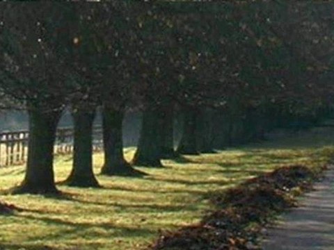 Zeki Müren - Ah Bu Sarkilarin Gözü Kör Olsun