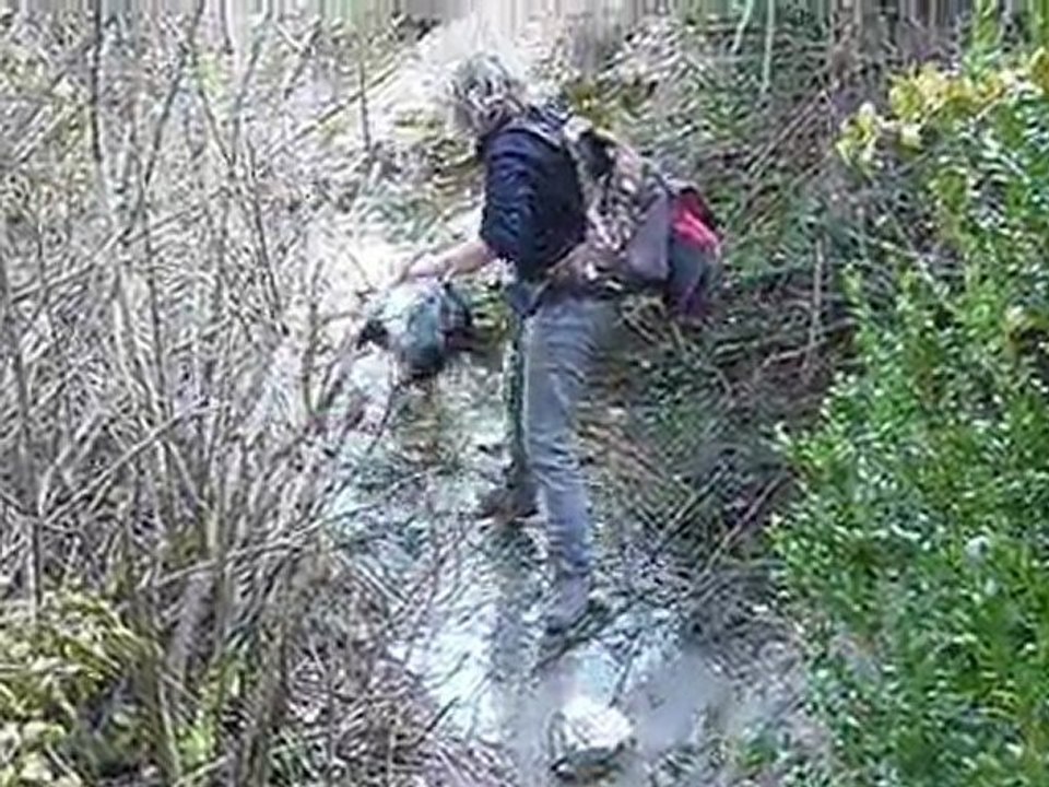 Un gué dans la Sénancole