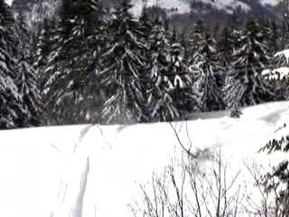 MOV01302