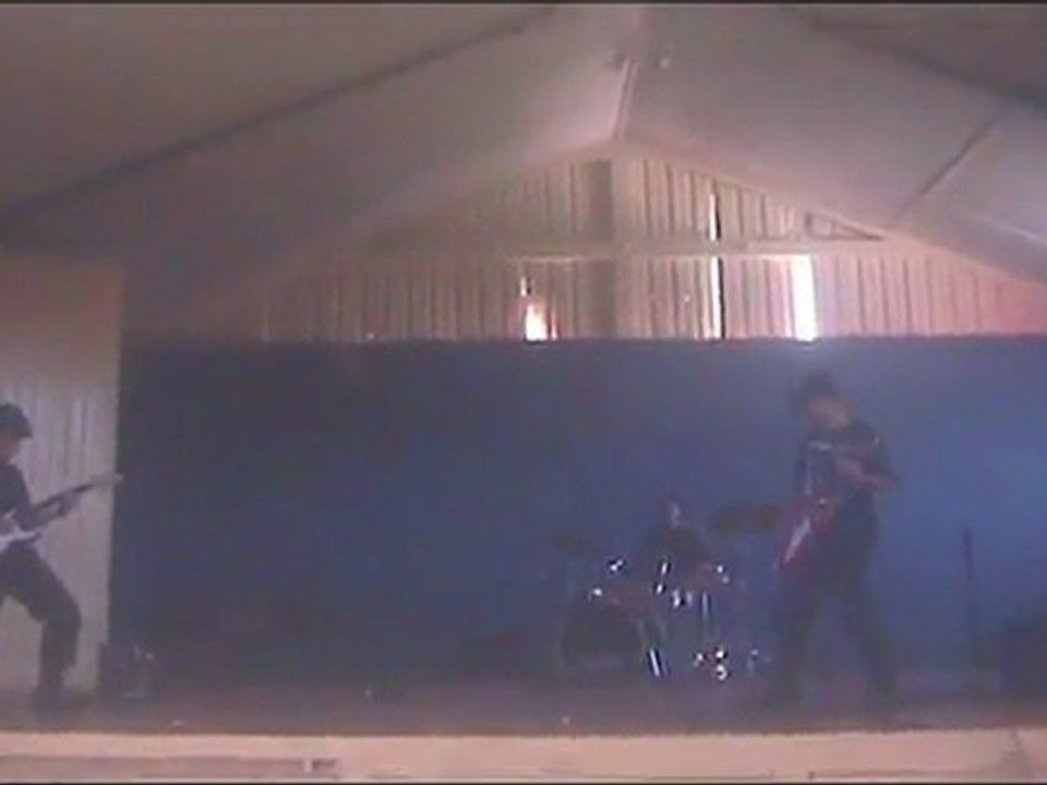 toxoplasma gondii live