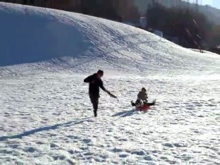 Flash d'Ashakiran Blue American staffordshire terrier