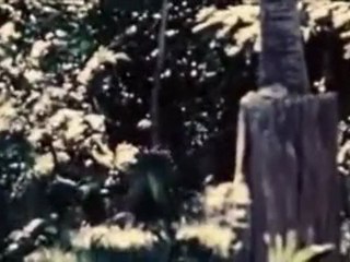 Les Films Perdus De La Seconde Guerre Mondiale (4)