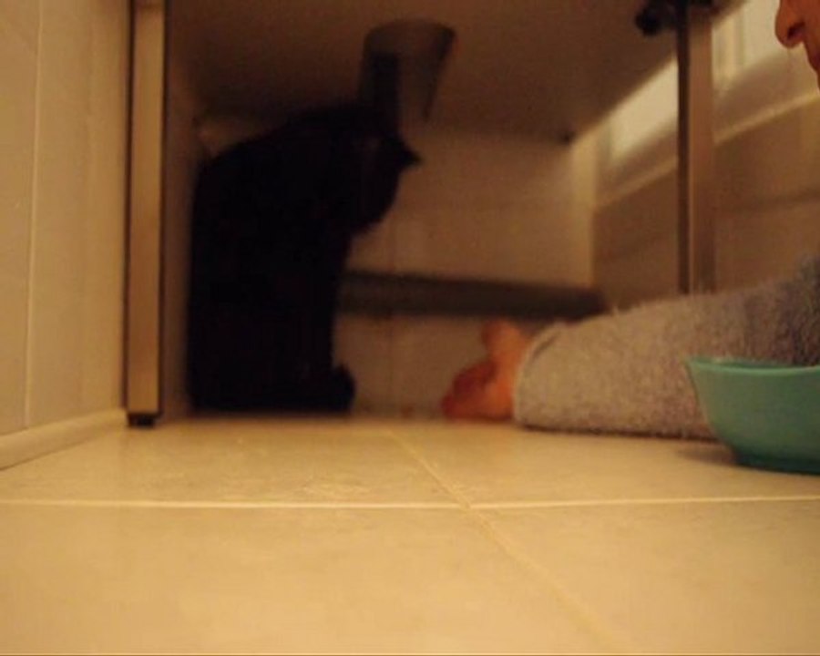 2011/03/19 - Fufu - vidéo 02