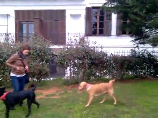 mathilda maya ve köpük