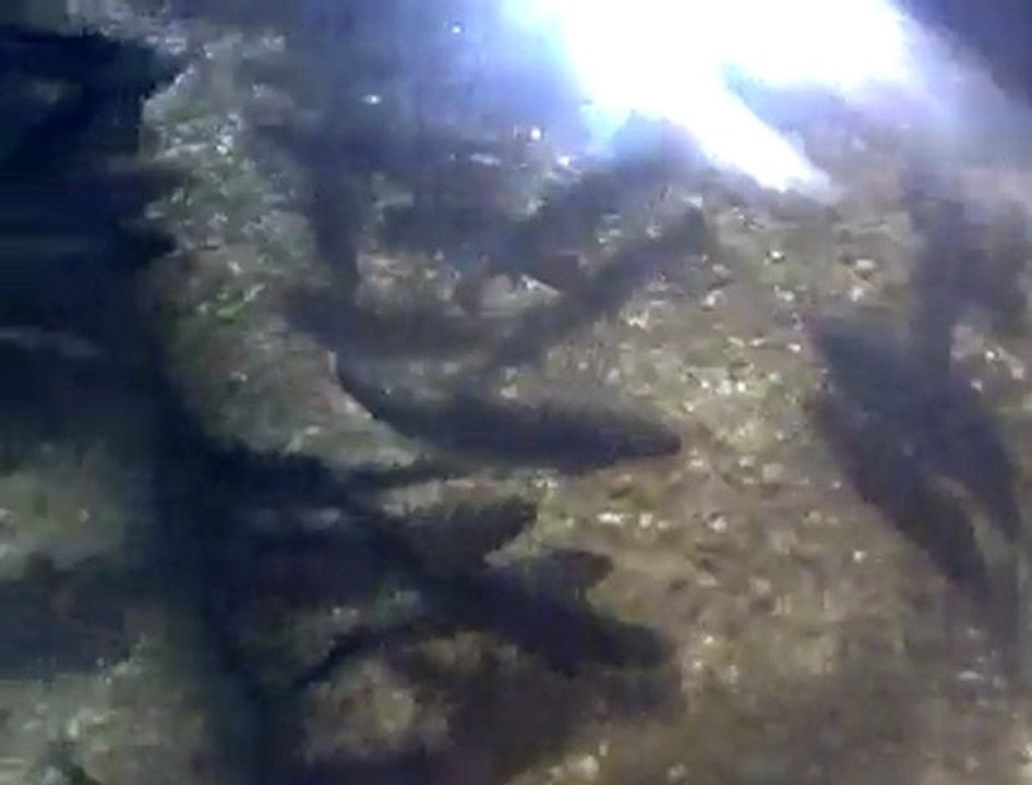 Sivas Yıldızeli Bayat Köyü_6