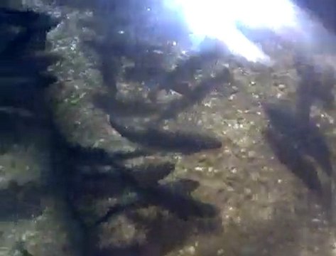 Sivas Yıldızeli Bayat Köyü_6