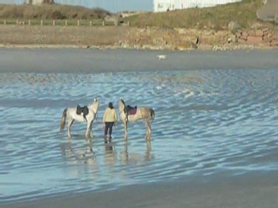 DSCN3673
