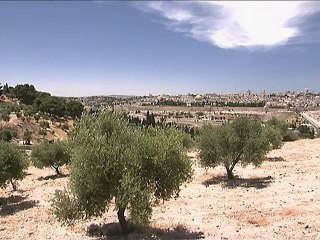 CPS - Christiannisme : un dieu parmi les hommes (extrait)