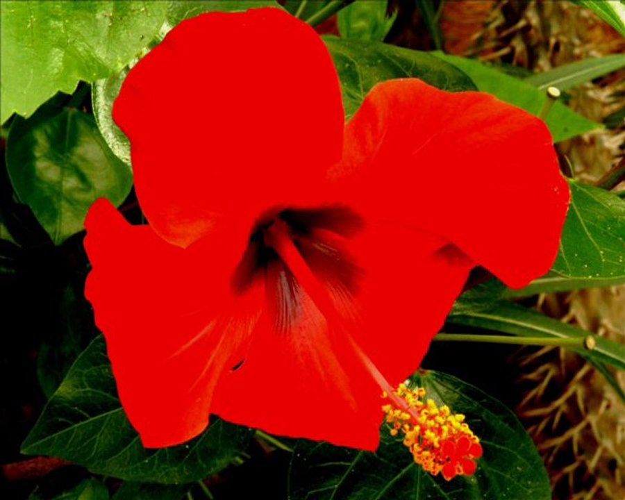 DJ ALL'MAD..fun'aimey mixxx