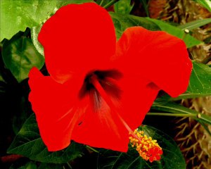 DJ ALL'MAD..fun'aimey mixxx