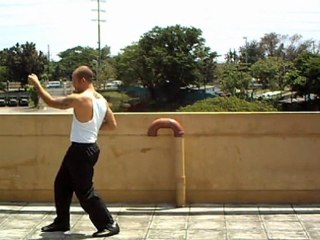 Manila Wing Chun - Chaam Kiu Explained