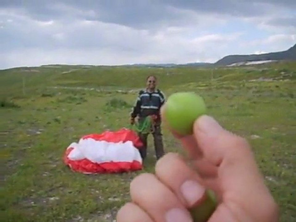 Erik Avı