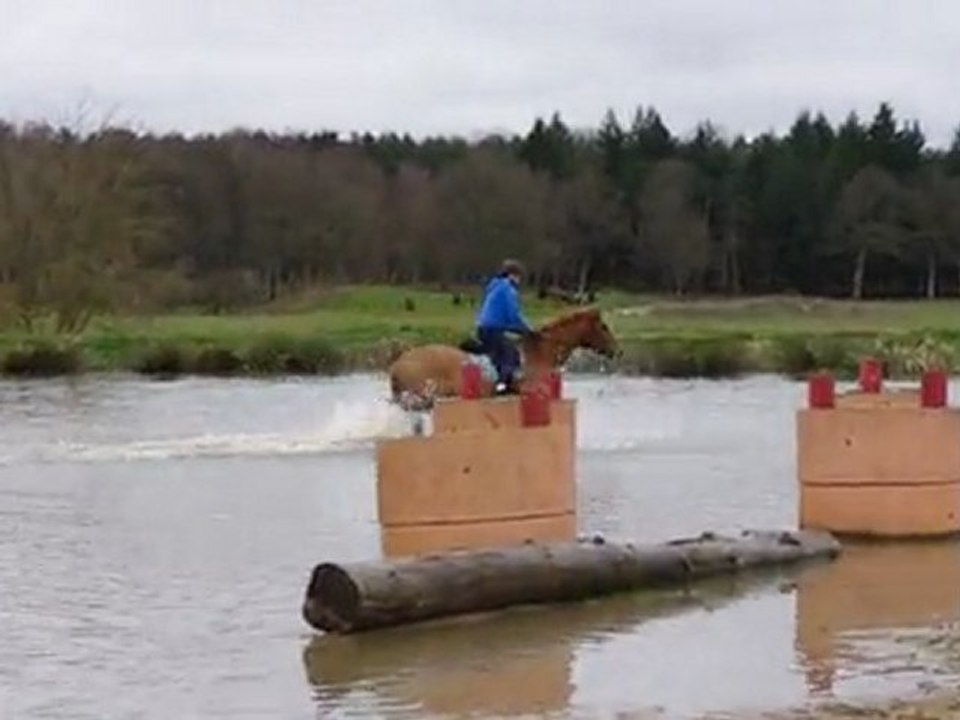 anthony et titanium au trot dans l'eau