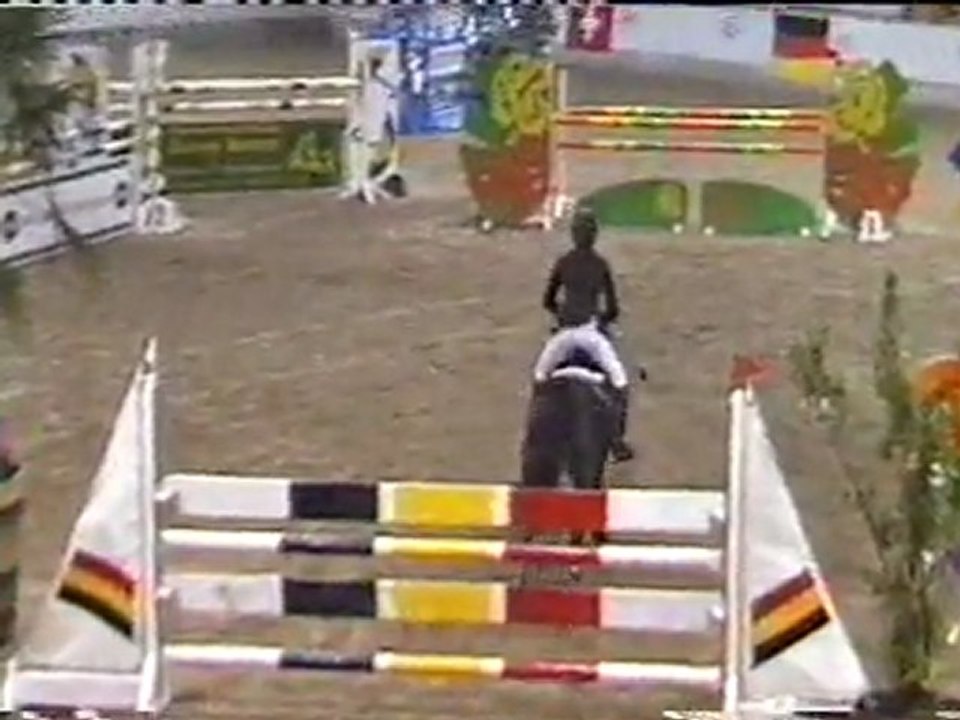 Ruby des 3 epis Neuroteren 27 th November 2010 international competition 1.25m