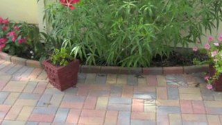 Paver Walkways Dallas TX 214-785-8585