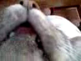 Petit Chat Qui Chante Magic System