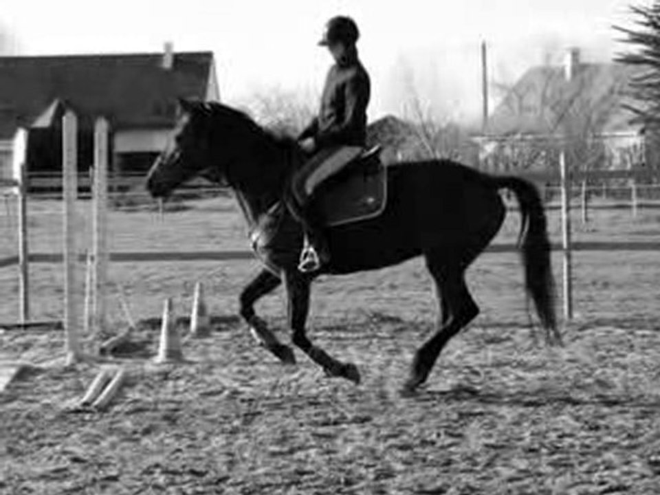 Mon monde, c'est elles.