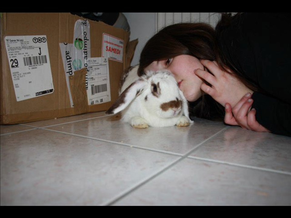 Lilynette, ma cocotte