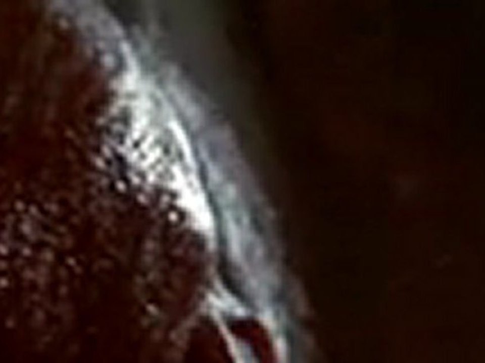 Hatchet 2