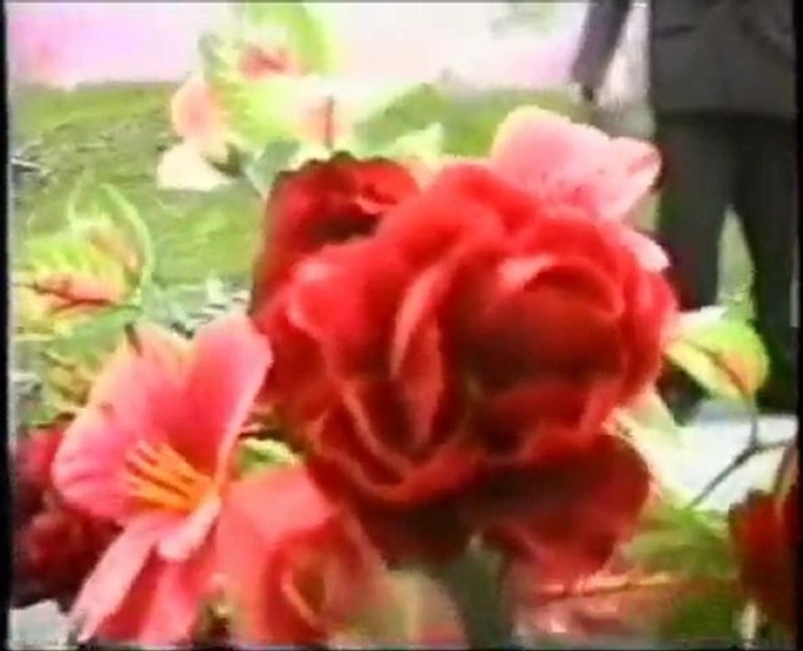 orhan akgün  sende beni anarmısın