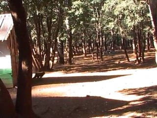 Touche pas aux magots