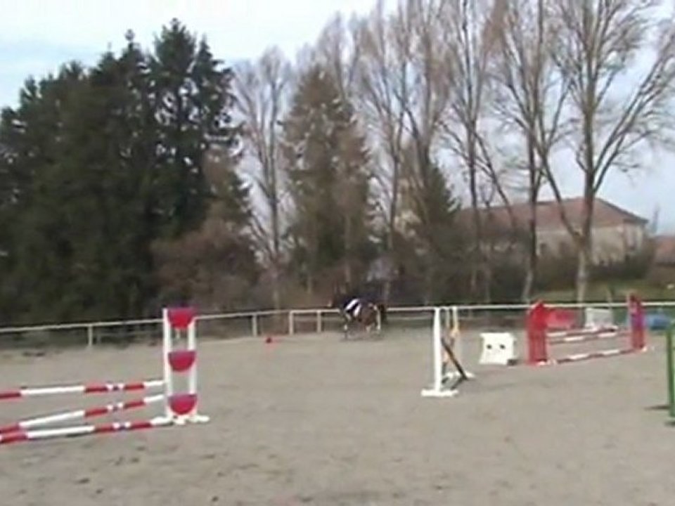 saut d'obstacle cours du 16 mars 2011