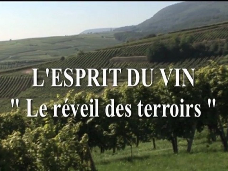 FILM BIODYNAMIE : L'ESPRIT DU VIN Le réveil des terroirs ( 2')