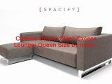 Leather Designer Sleeper Sofas