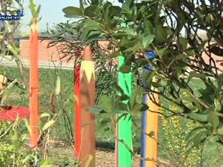 Strasbourg: le jardin des droits de l'homme