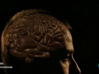 Cerebro humano: Somos unicos