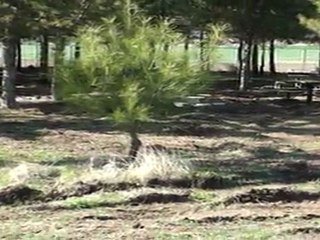 Toki Parkında Çalışmalar Devam Ediyor