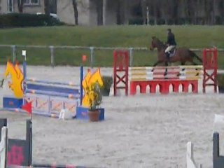 Siane du riou / 5ans B / First de launay x Tanael