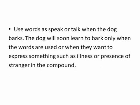 Stop Dog from Barking With These Effective Tips!