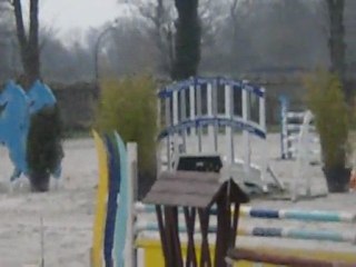 Quirane du riou / Prépa 120 / Gunter de l'herbage x Tanael