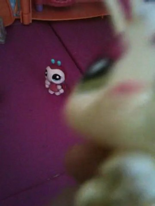 PET SHOP DE LEA