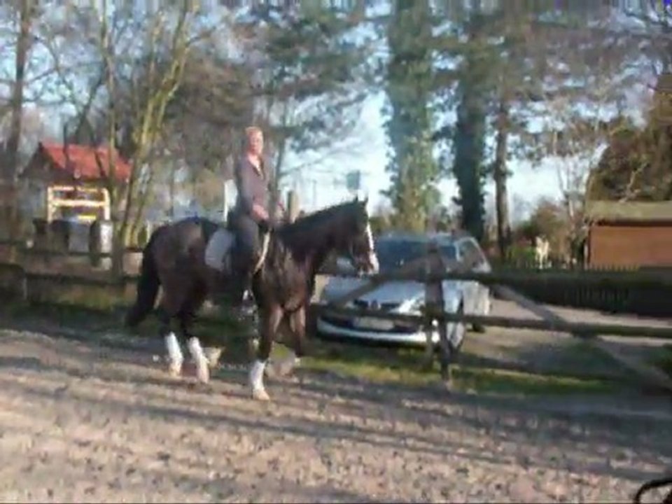 springen   20