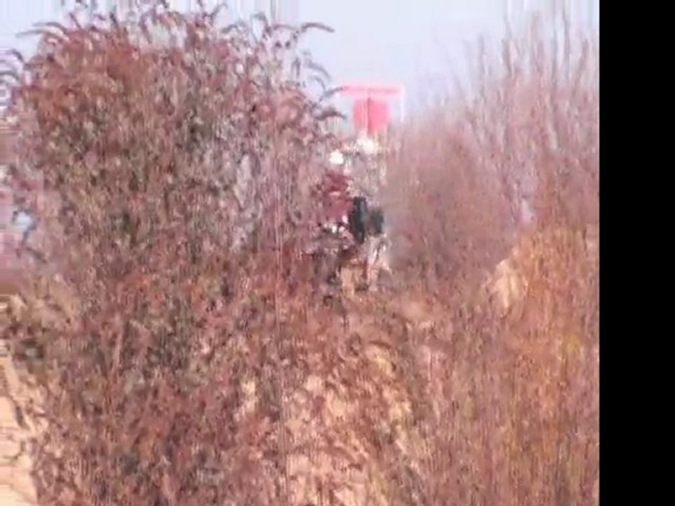 Rando 20-03-11