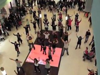 Flashmob aux Docks76 à Rouen le 19 mars 2011