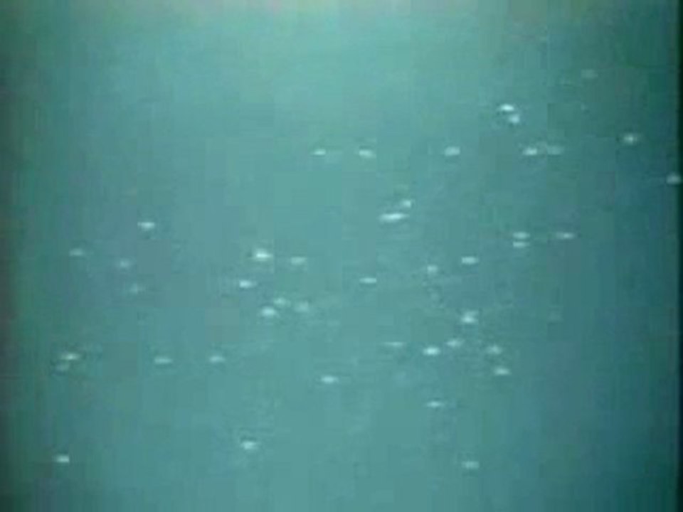 OVNIs En México 2 (UFOs In Mexico 2)