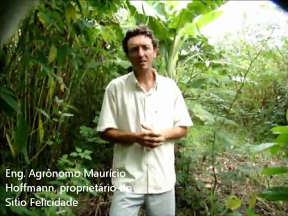 Samauma_ecocidadania