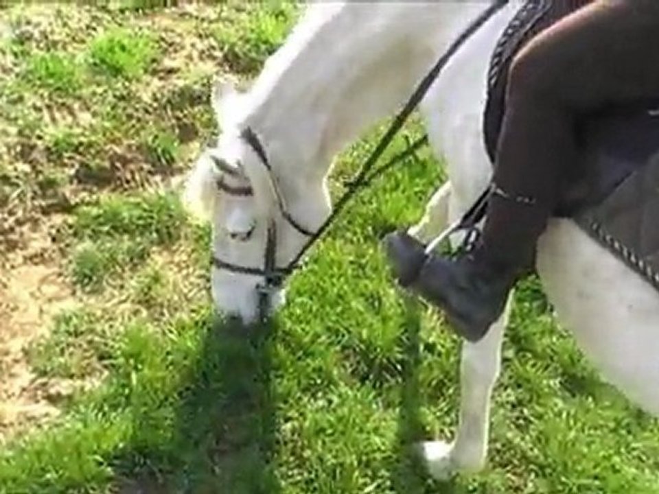 1e ballade Florie après 2 ans (mars avec Odessa et alison)