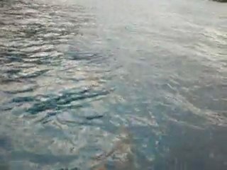 NATAL - FERNANDO DE NORONHA MARÇO 2011 Golfinhos