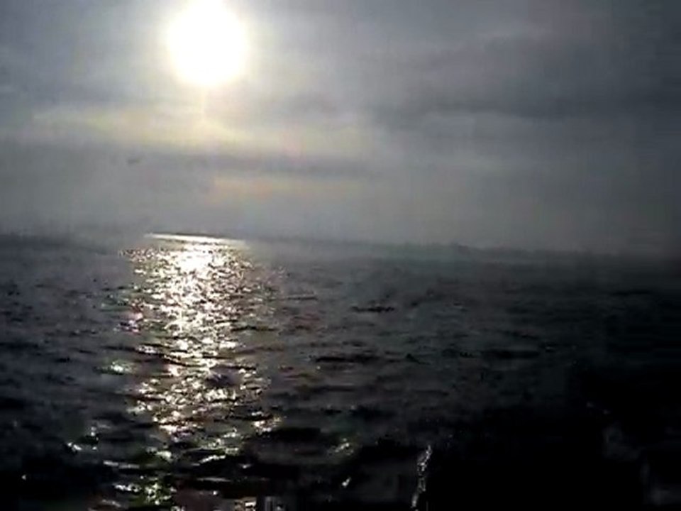 MOV00590