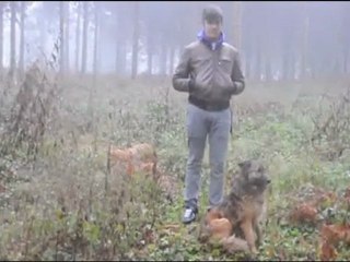 Chegliama Pan - Pray, Then Leave [Music Video]