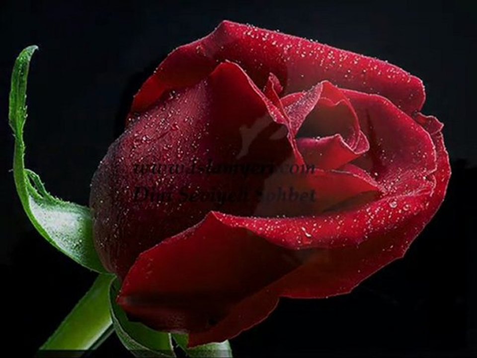 Ilahi Ey Allahim beni senden ayirma www.islamyeri.com