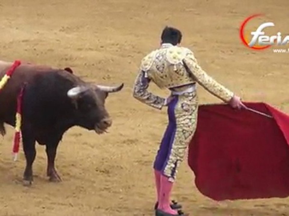 Novillada de Samadet - Thomas Dufau