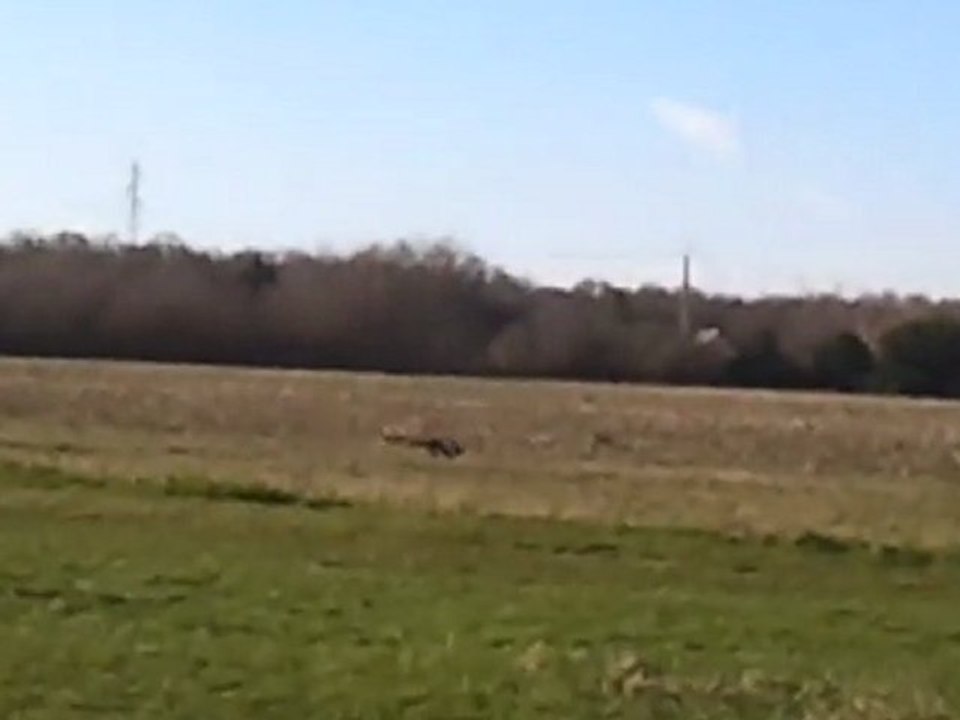 Vidéo0005