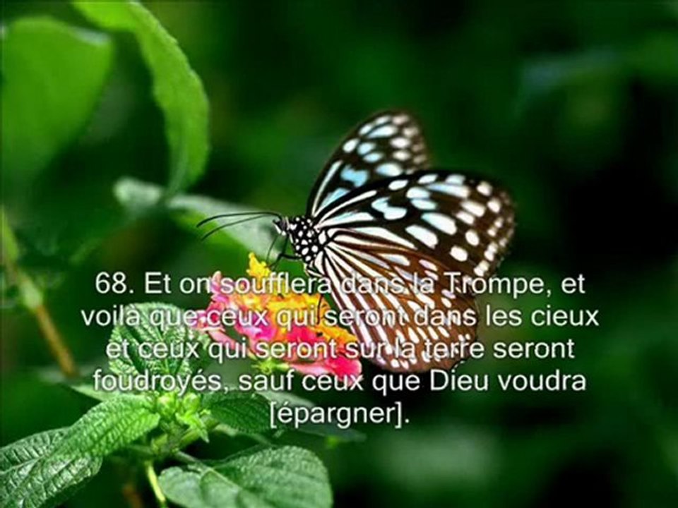 Sourate 39 Les groupes (Az Zumar) part 2